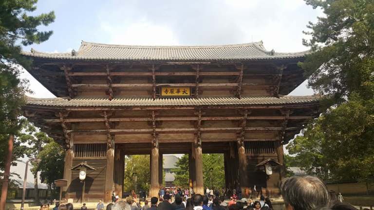 23172377_1701371486548683_6519244428210453437_n-1