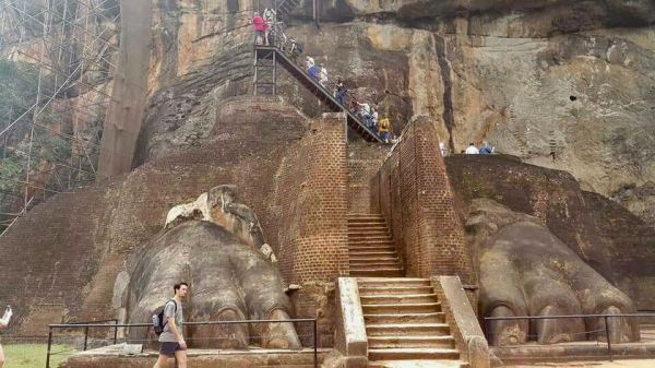 1983e373-038b-4add-a258-3ca55cdfead9