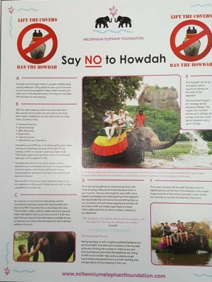 27939725_1802164543136043_1442098430_n