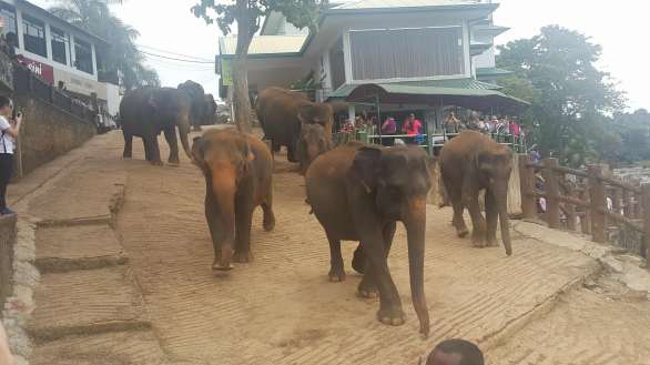 28034152_1802330856452745_1282589940_o