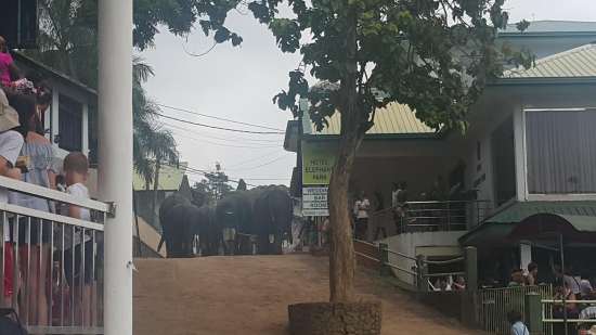 28034539_1802332899785874_129985375_o