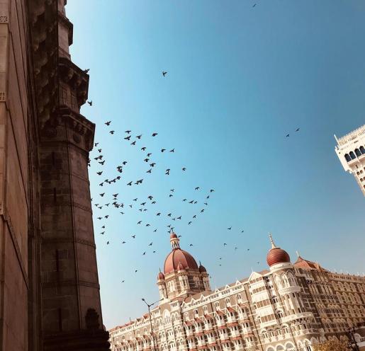 28534316_1655693511142935_1002388270_n