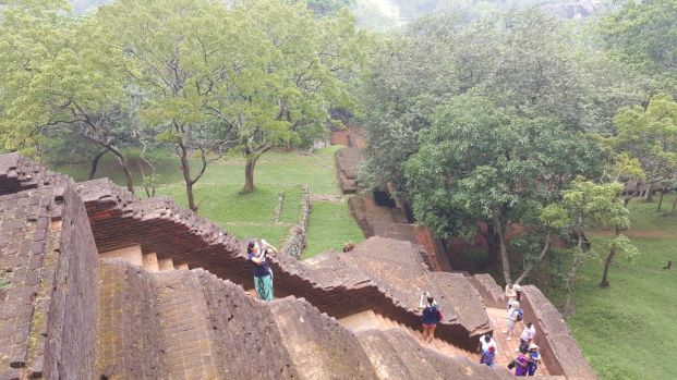 31fd0e15-e5c4-4003-b2c7-a1a6e444c619