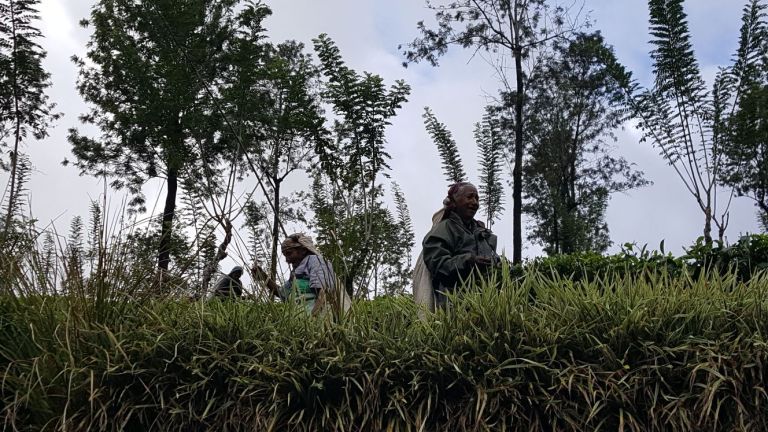 c0d1adc8-56a0-42da-a367-38cccb65835e