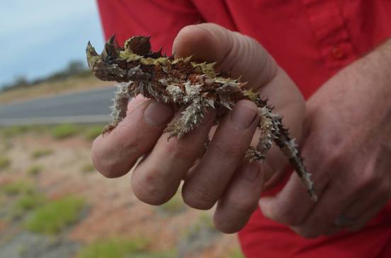 28535089_10156232086292072_46543940_n