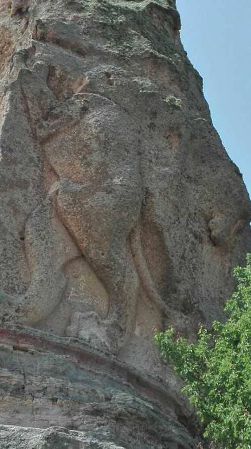 32187297_1895186017167228_2687461689665781760_n