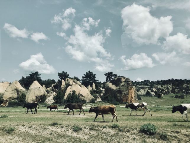 87623835-09f7-49f6-9335-450a69b2ef55