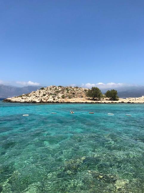 36114301_1784054804973471_5907590922803085312_n