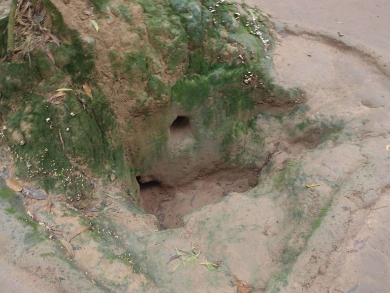 38462784_258733474852295_5806215431031095296_n