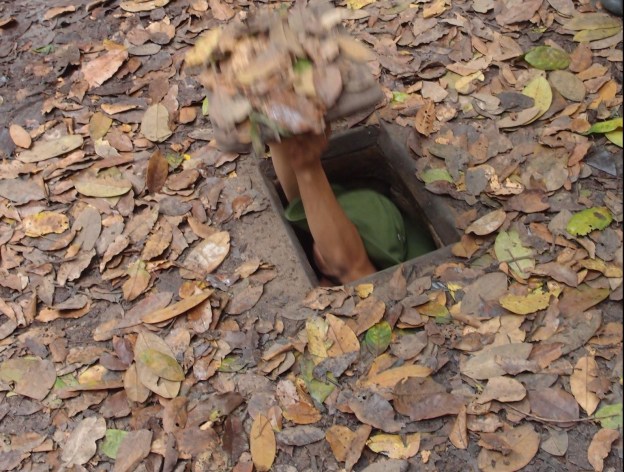 38472398_2084775485172452_877248255618973696_n