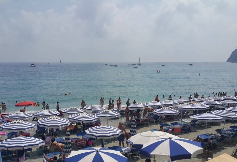 38612289_602584443475661_6330189806076690432_n