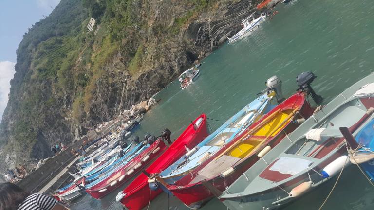 38683869_499066133868581_7849023149705265152_n