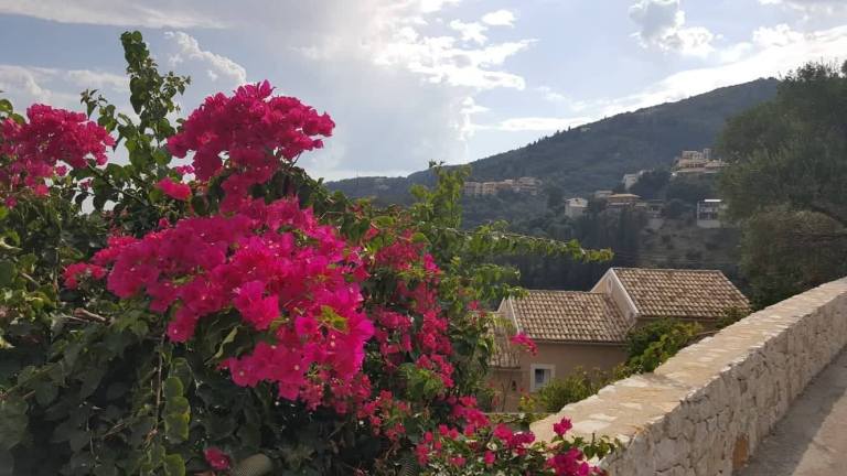 40684196_309767772935455_3950491033162219520_n