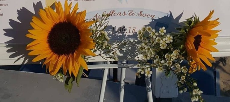 41441517_729353144063872_1206562450678218752_n