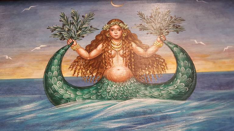 41516674_1471645752972994_7149992960011010048_n