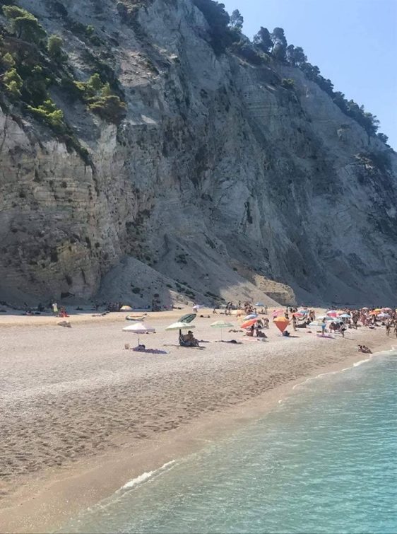 42719796_732429437096078_1111366935808835584_n