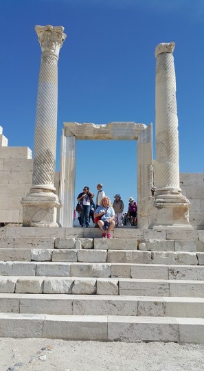 13012898_1172129082806262_866417736708170633_n[1]