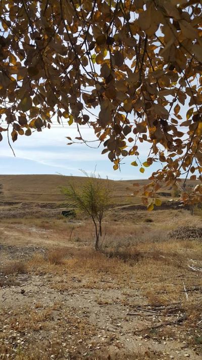 43950942_536908986771117_8329664139412635648_n