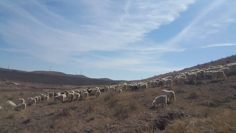 44107677_303765416885958_6080644599792009216_n