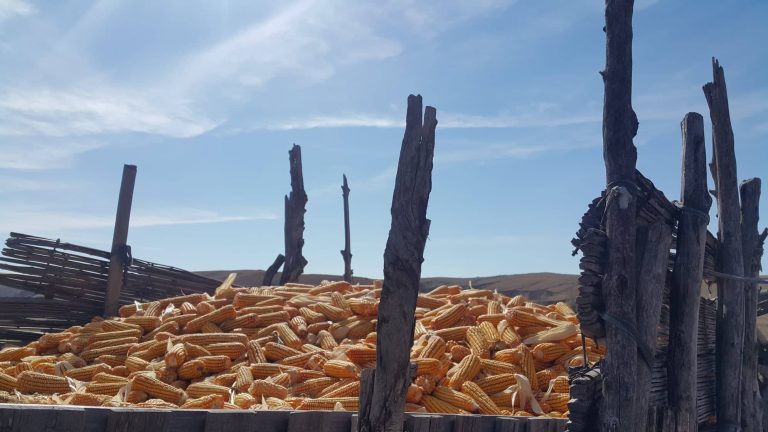 44178814_285624005388254_2153265477139300352_n