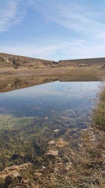 44179888_272507240088552_6515074305489895424_n