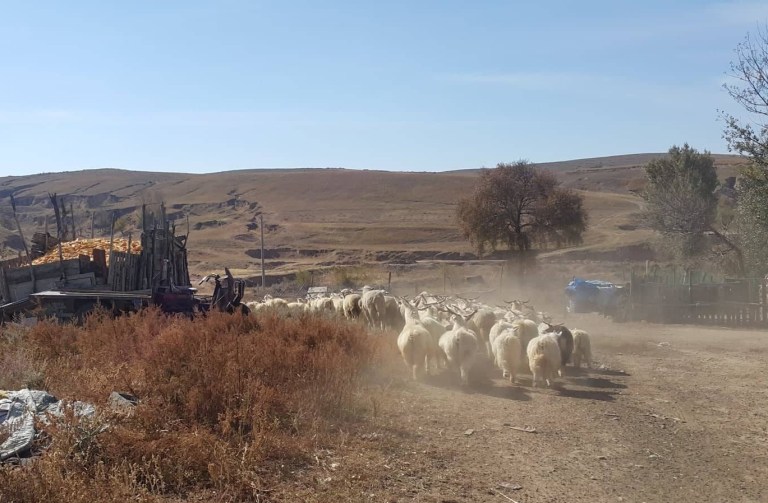 44190204_310493542878731_2579202941571301376_n