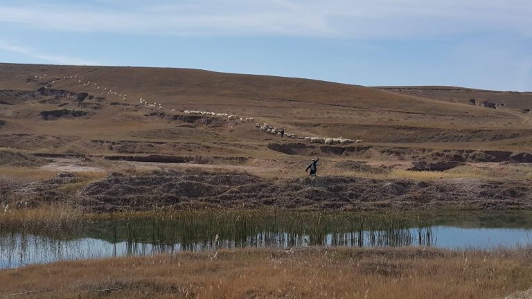 44253971_569009260222594_3100940789706915840_n