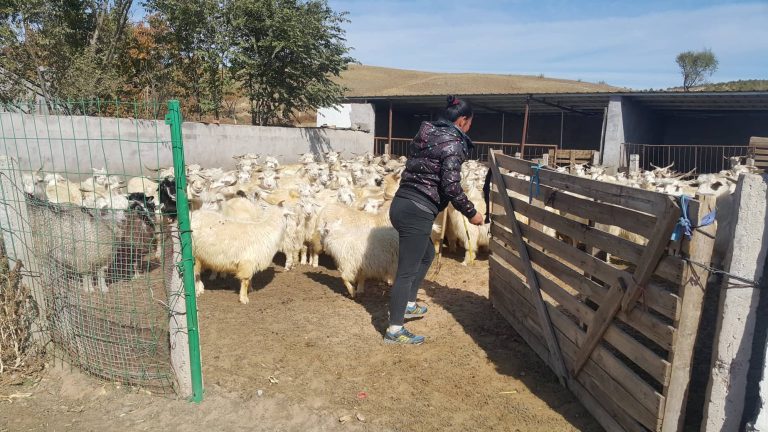 44279945_711498785900587_6437603167168364544_n