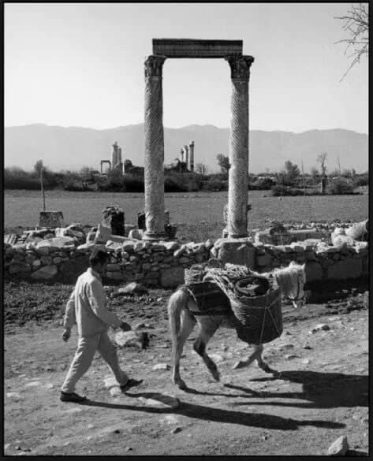 44490404_286044048908786_2718097519589457920_n