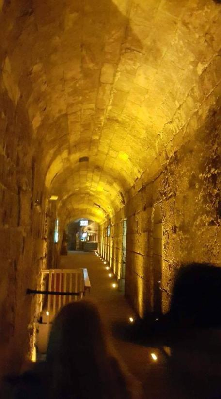 46049047_2192149077769840_2583757127323484160_n