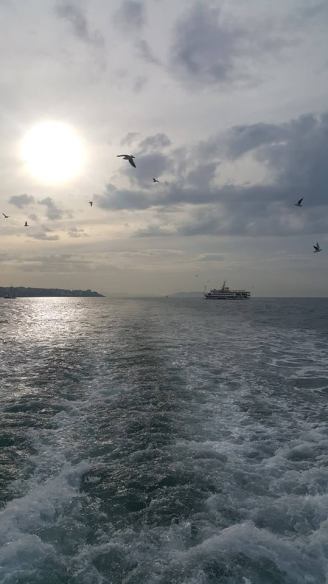 48376953_366413513935411_7009739072088309760_n