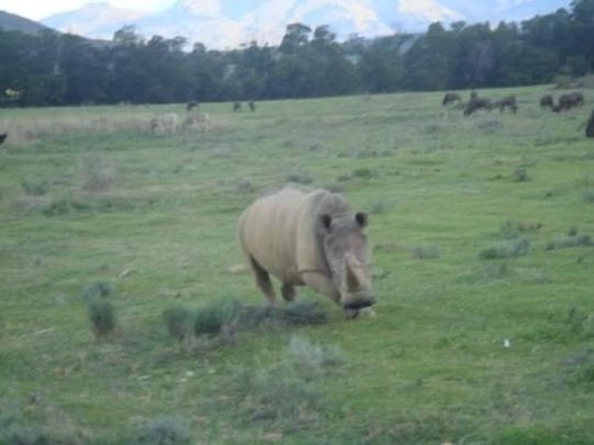 49161193_218340765721402_7293248506087604224_n