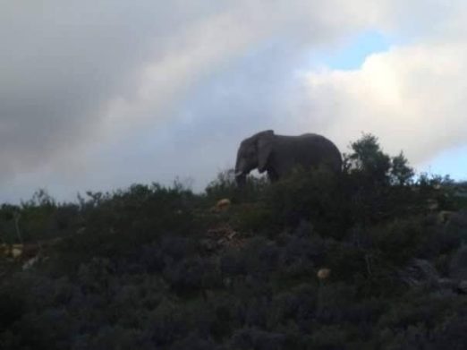 49501660_233861384180497_912588126998757376_n