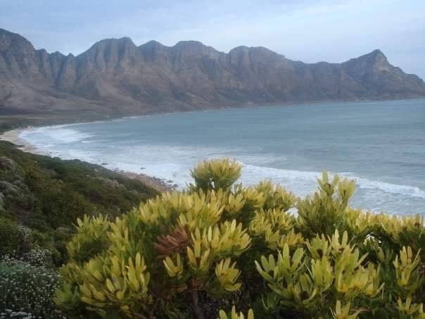 49344863_957145714495575_2160851012154294272_n