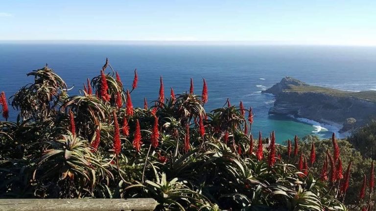 49489241_540330923111024_3911072076722601984_n