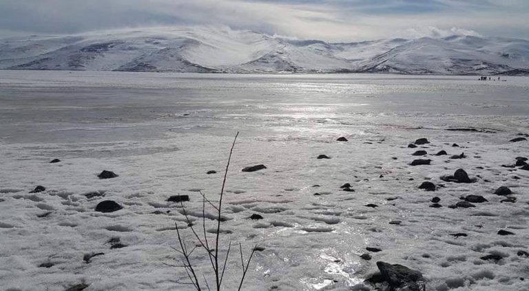 49914787_392810004799926_1525920301659979776_n