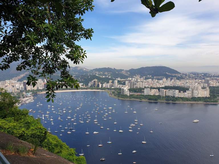 55514067_555335211543045_5584313806789541888_n