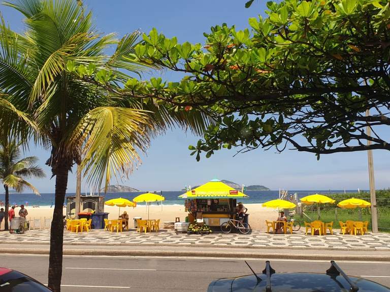 55523478_279326756326187_299375614421368832_n