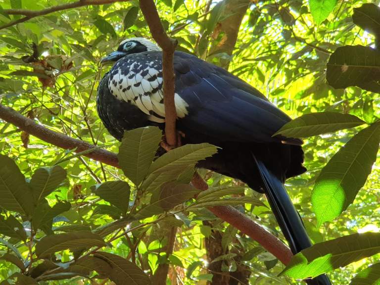 56226189_1146167868877062_2571420525255458816_n