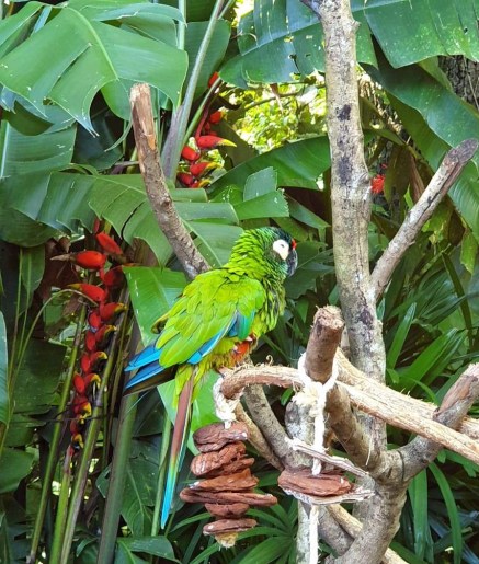 56337031_342122636431452_2233805592932122624_n