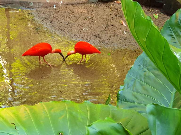 56396038_652160021890283_5028111801041027072_n