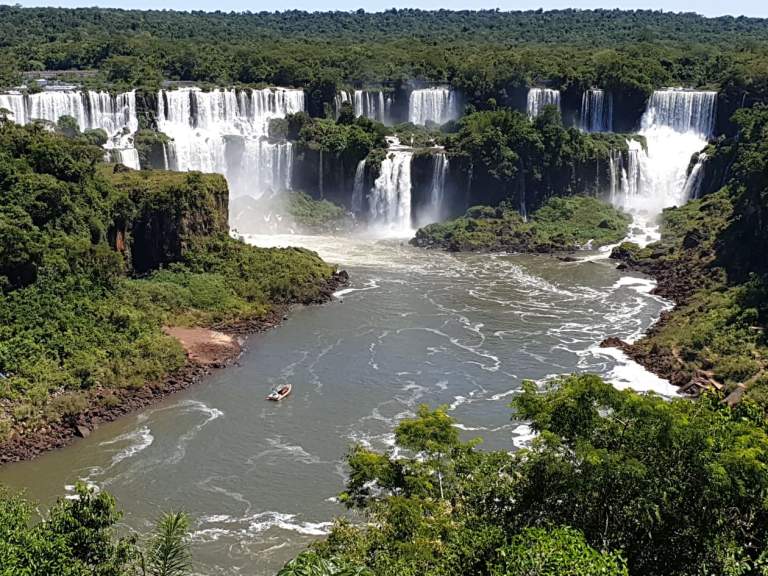 56447485_280254792911550_5673326591682281472_n