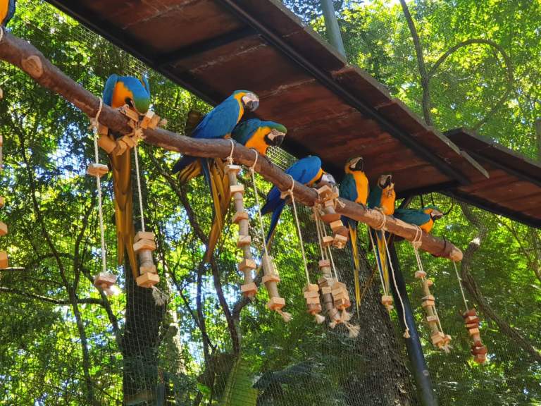 56649375_387600038503205_6558967295002017792_n