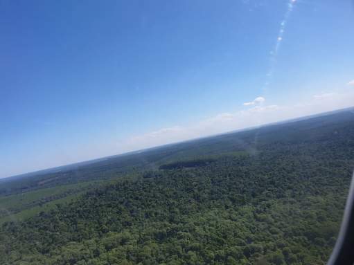 56691422_579936635818881_2964371004471640064_n