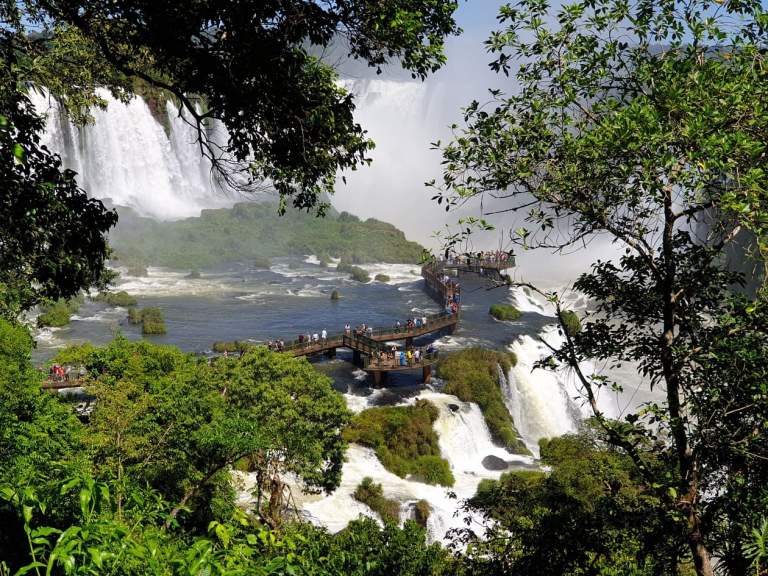 56737255_454112535342384_7735649233000202240_n