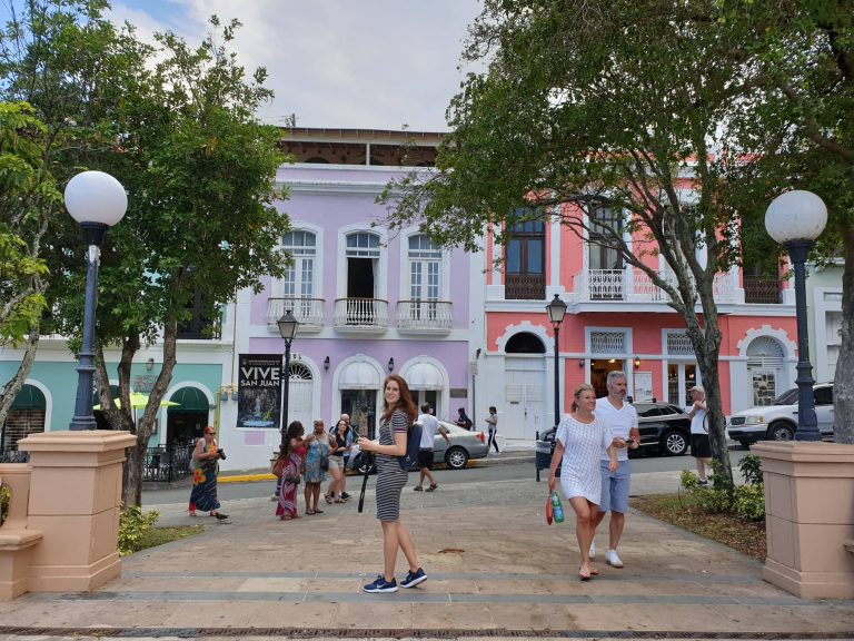 60023456_864045993947973_7464916360338866176_n