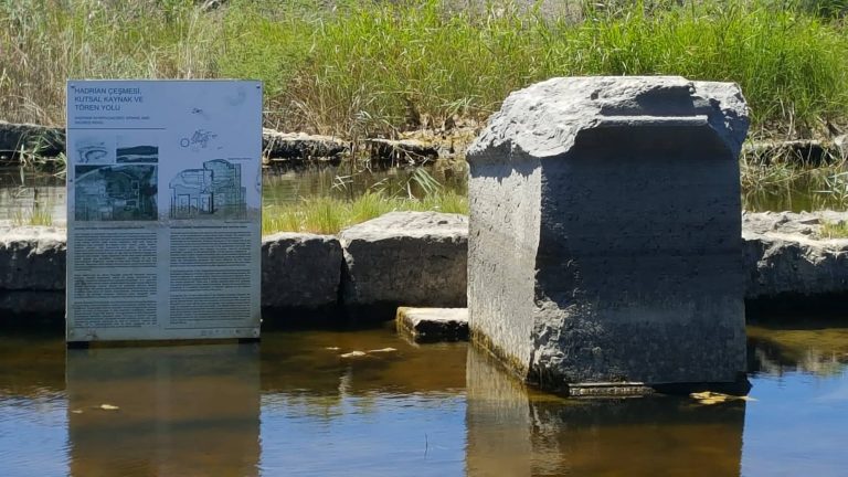 61983801_2417754384913056_4588436939547344896_n