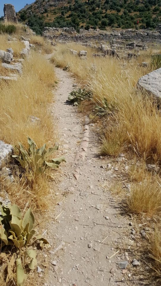 62143291_2203429956436746_7017092992401932288_n