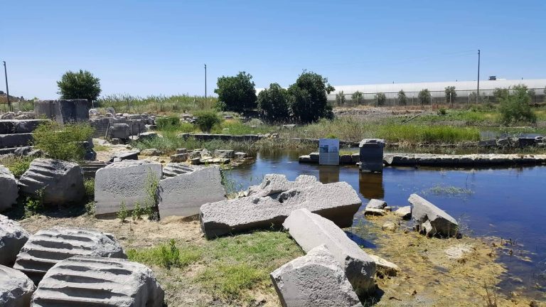 62157130_371610033467756_3535238657088684032_n