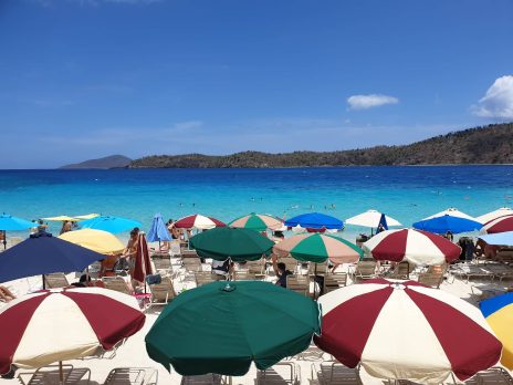 61100232_540888079648770_7905930985340928000_n